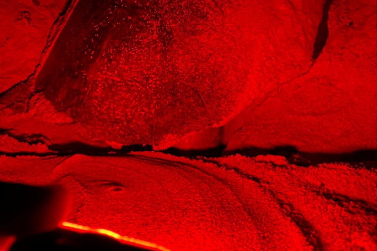 Sal Island Turtle Watch Tour w naturalnym środowisku