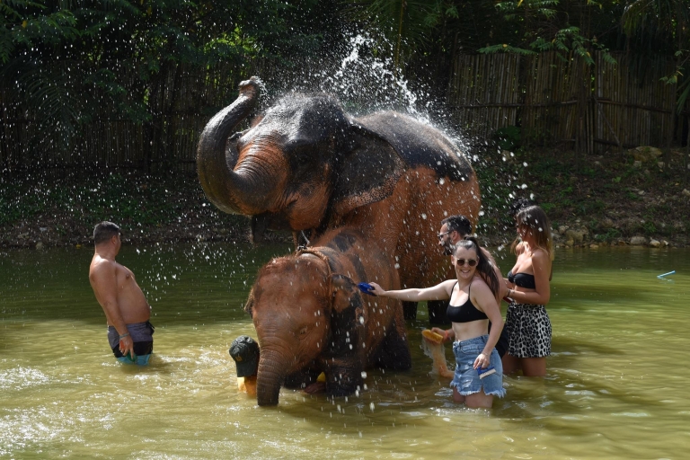 Phuket : Sanctuaire de soins éthiques pour éléphants Nai Dee PhuketOption A : Expérience complète d'une demi-journée
