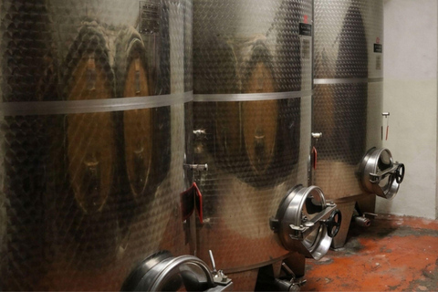 Winery & Vineyard Tour with Guided Tasting near Pisa Wine Tour in English