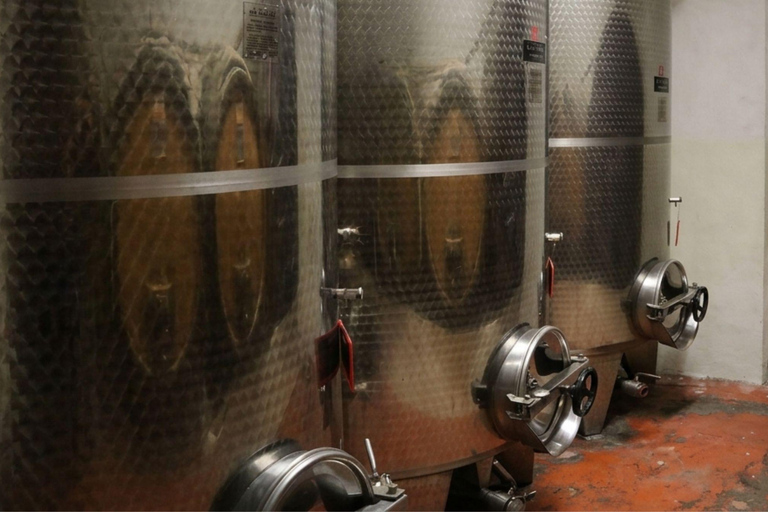 Winery & Vineyard Tour with Guided Tasting near Pisa Wine Tour in English