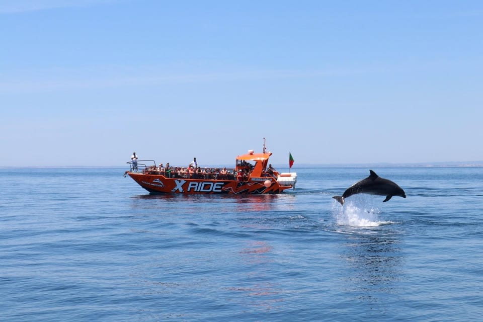 Vilamoura: Bootsfahrt mit Delfinen und Höhlen