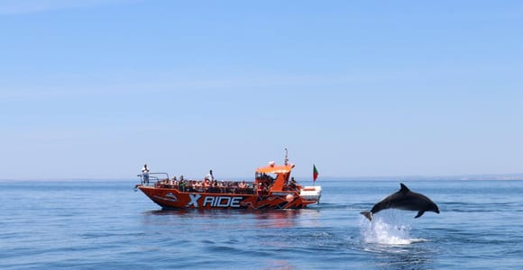 Vilamoura: Passeio de barco pelos golfinhos e pelas grutas