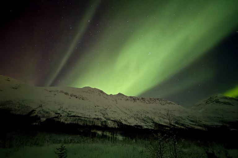 Tromsø: Northern Lights Tour with Photos & Snacks