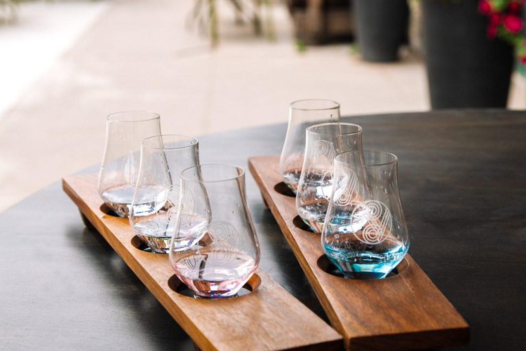 Toronto City Tour with optional Tasting & Cruise Tour + Cruise