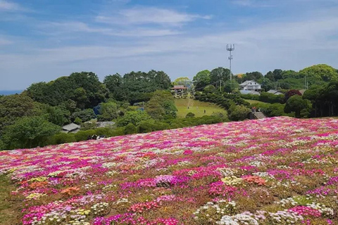 Fukuoka:Nokonoshima Island Day Trip with Tour Guide& Driver