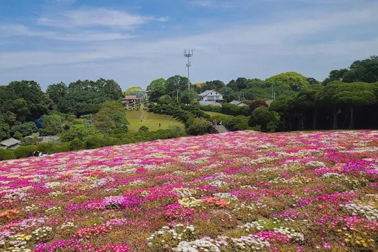 Fukuoka:Nokonoshima Island Day Trip with Tour Guide& Driver