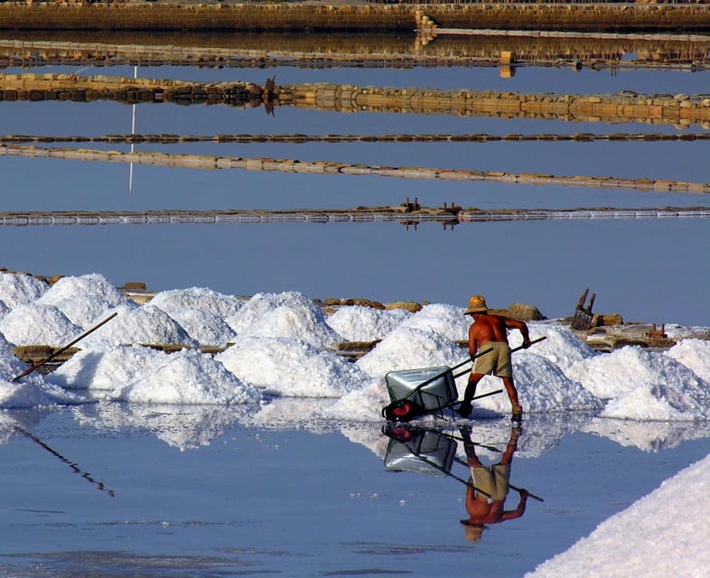 Führung durch die MarsalaSalinen und Salzernte GetYourGuide