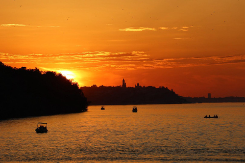 Cruise in Belgrade: Sava and Danube River Cruise with Views