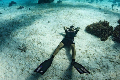 Bohol Dolphin Watching & Sea Turtle Swim Island Hopping Tour Pier – Meet-up Point