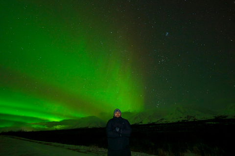 Von Fairbanks aus: Nordlicht Aurora Tour mit Fotografie