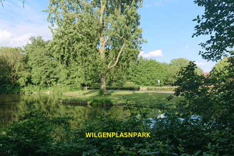 Rotterdam countryside on the wheels - bike tour around city