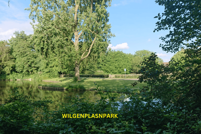 Rotterdam countryside on the wheels - bike tour around city