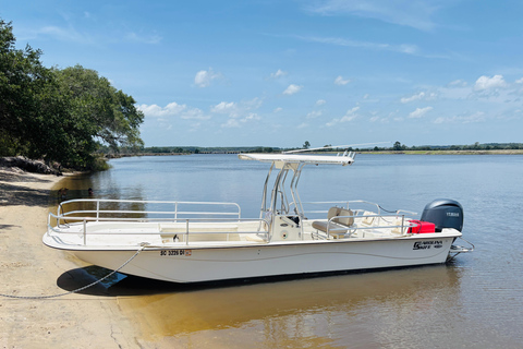 Charleston: Sunrise Marsh Ecotour Boat Charter