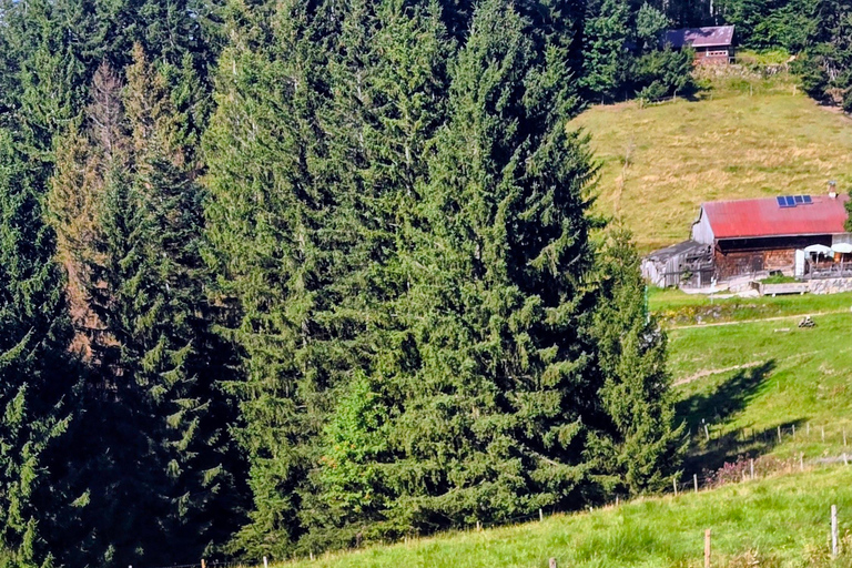 Tegernsee to Schliersee: Guided panoramic hike on the Prinzenweg