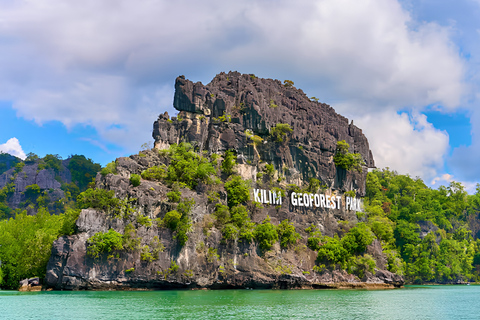 Langkawi: KILIM Geoforest Mangrove Jetski Tour Adventure 3H Double Rider Jet Ski Option