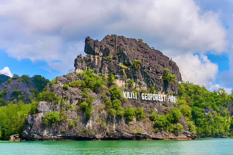 Langkawi: Kilim Geoforest Mangrove 2-Hour Jetski Tour Single Rider Jet Ski Option