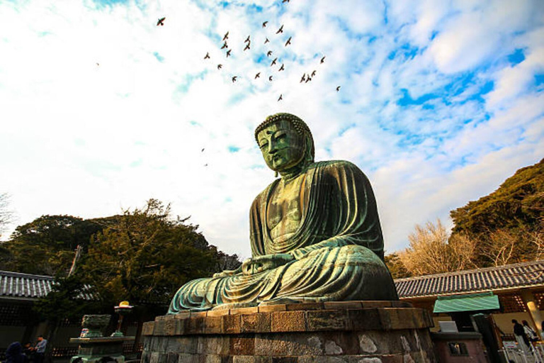 Sacred Kamakura & Yokohama Full-Day Tour with English Guide Kamakura & Yokohama Private Tour With Toyota Welfare Alphad