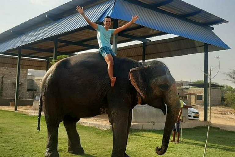 Jaipur: Hathigao Elephant Village Ride, Feeding, & Photos Riding, Feeding, Climbing And Photography with Elephant