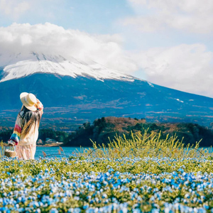 Tokyo: Full-Day Tour of the Six Majestic Spots of Mt Fuji