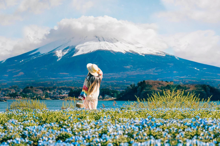 Tokyo: Full-day Tour of the Six Majestic Spots of Mt Fuji 8:00 AM Shinjuku West Exit, SMBC Meeting Point