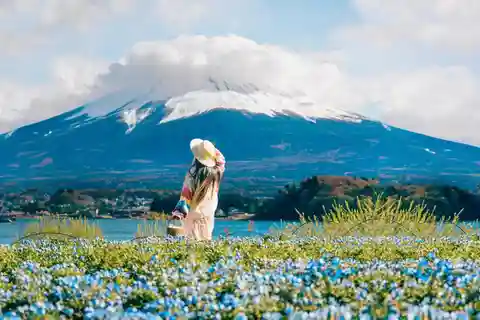 Tokyo: tour di un'intera giornata dei sei luoghi più maestosi del Monte Fuji