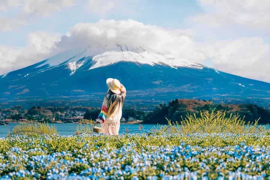 Tokio: Ganztägige Tour zu den sechs majestätischen Orten des Fuji. Foto: GetYourGuide