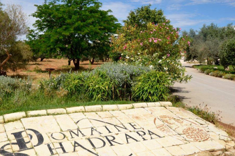 Op de hellingen van de Medjerda: de geheimen van ShadrapaOp de hellingen van Medjerda: De geheimen van Shadrapa