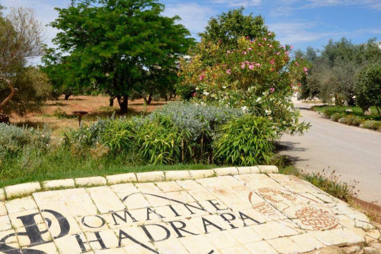 Op de hellingen van de Medjerda: de geheimen van ShadrapaOp de hellingen van Medjerda: De geheimen van Shadrapa