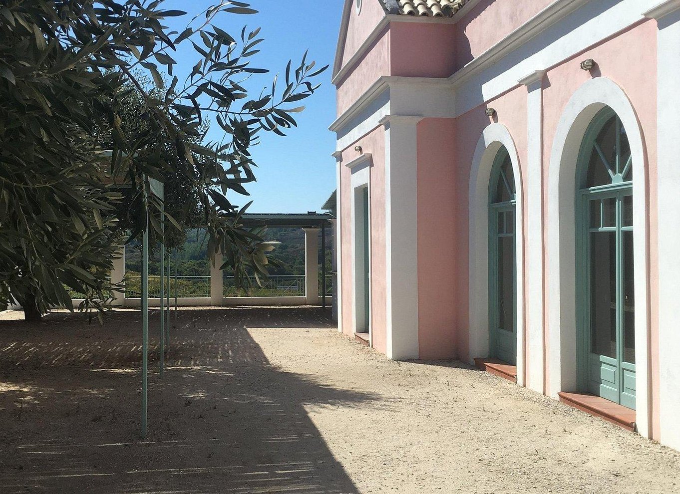 Rhodos: Rundvisning på vingård og vinsmagning