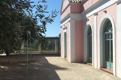 Rodas: Visita a Bodegas y Degustación