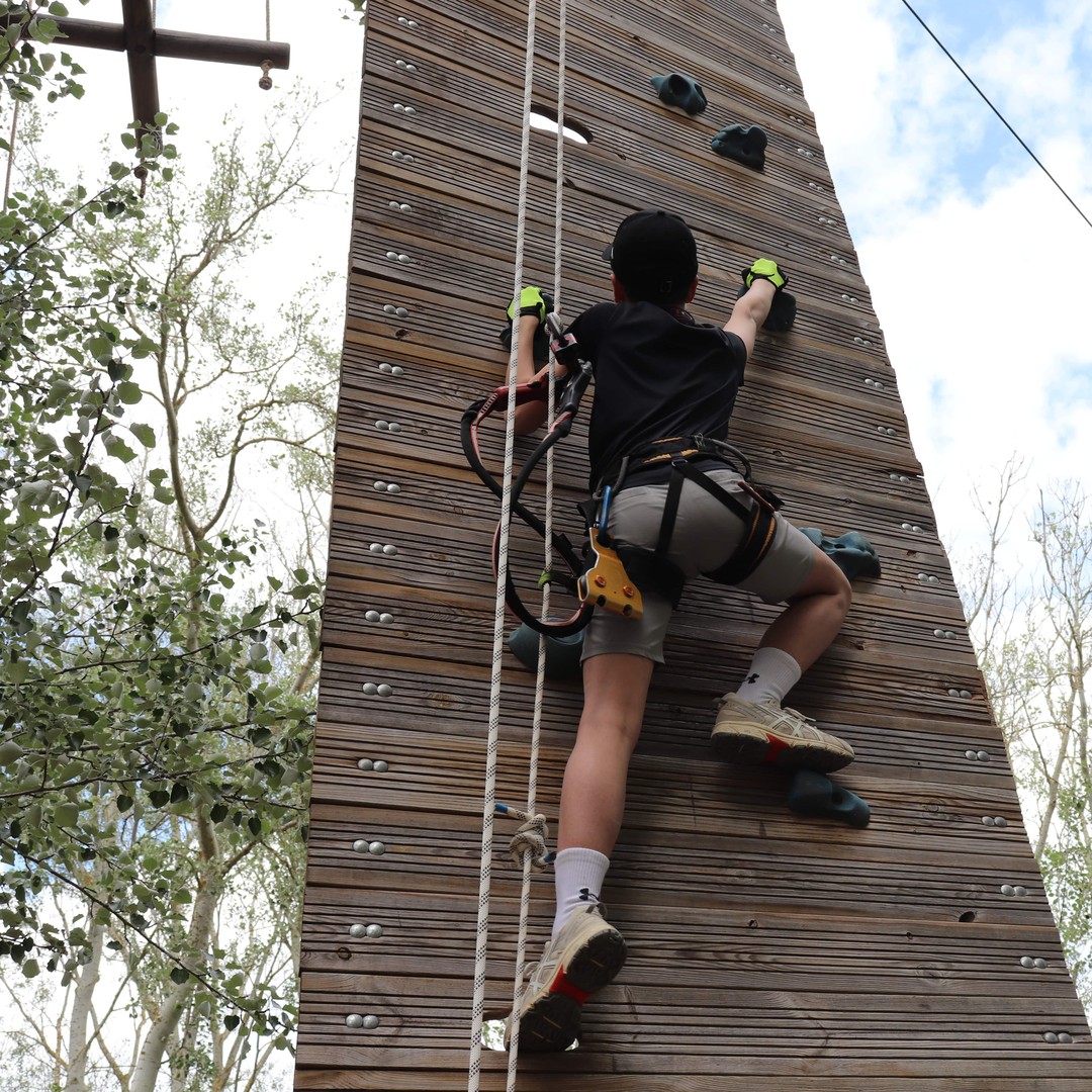 Accompanying entry to PANGAEA park | GetYourGuide