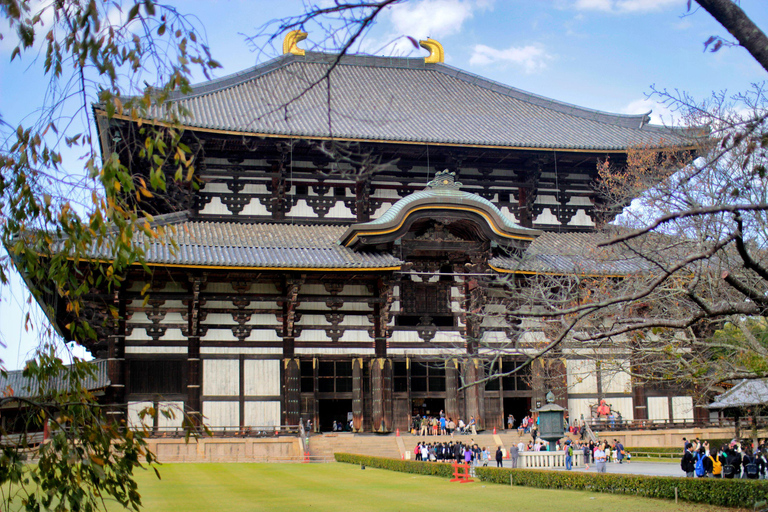 Osaka: Nara, Akame 48 Waterfalls & Tanzan Shrine Tour Shared Tour, Meet at Tsurutontan Soemoncho