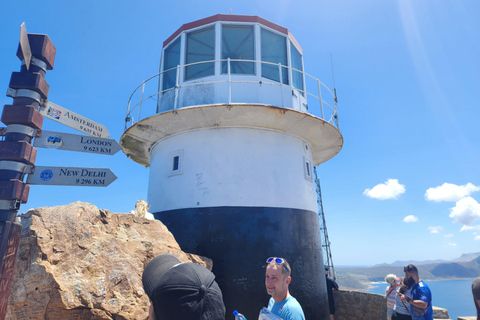 Ciudad del Cabo:Nadar con pingüinos Boulders Beach cape point