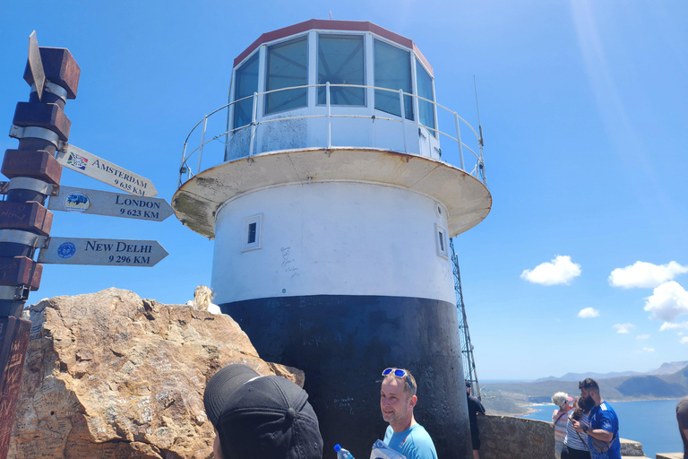 Kapsztad: Pływanie z pingwinami Boulders Beach Cape Point