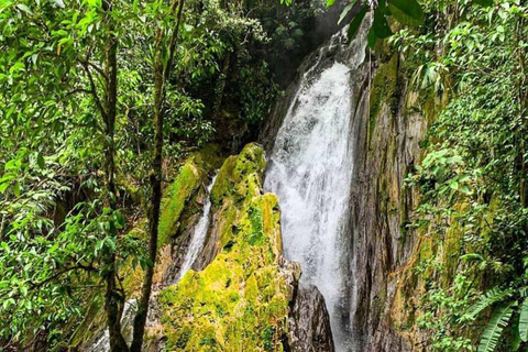 Tingo María : Honolulu et les chutes de Chullachaqui