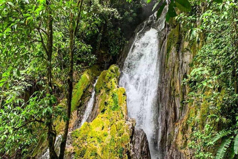 Tingo María : Honolulu et les chutes de Chullachaqui