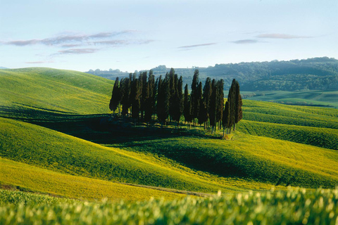 Siena: Guided city tour in German