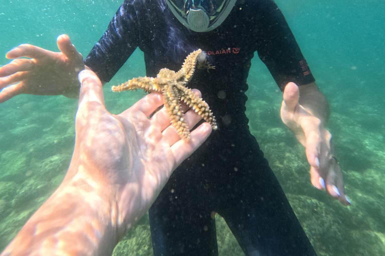 Arrábida: Kayak & Wild Beach Snorkeling with Pickup Option Tour with Meeting Point in São Lourenço