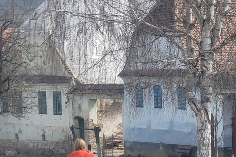 Saxon Villages Tour: Viscri, Rupea Fortress, Criț & Saschiz