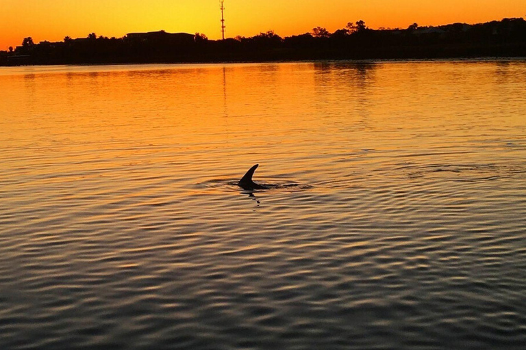 Charleston: Rejs w poszukiwaniu delfinów z Shem Creek