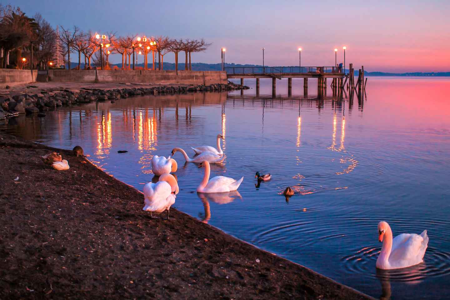 Lago di Bracciano e borghi: tour privato da Civitavecchia