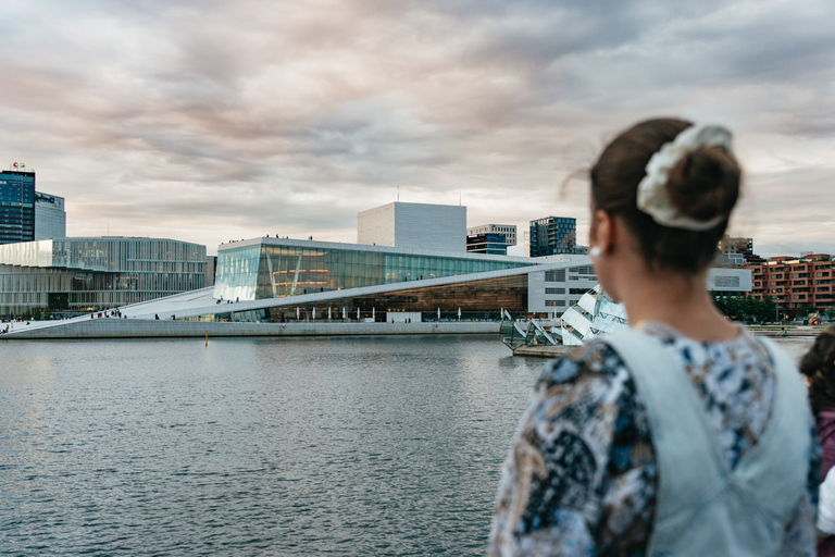 Oslo: avondtocht van 3 uur per boot door fjorden, met buffet