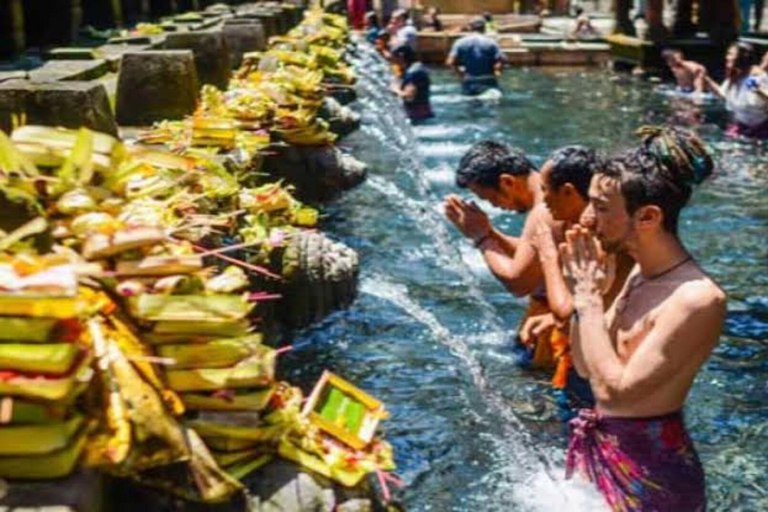 Monkey forest, Rice Terrace, Water Temple & Waterfall tour. Best of Ubud Privat Tour without entrance fee