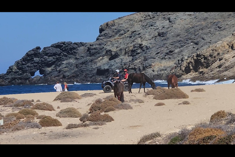 Self guided tour on atv/quad and explore mykonos,on wheels