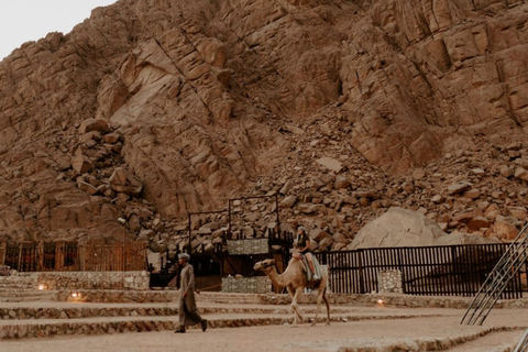 Scharm El-Scheich: Premium-Arabische Nacht mit AbendessenScharm El-Scheich: Premium-Arabische-Nacht-Entdeckung mit Abendessen