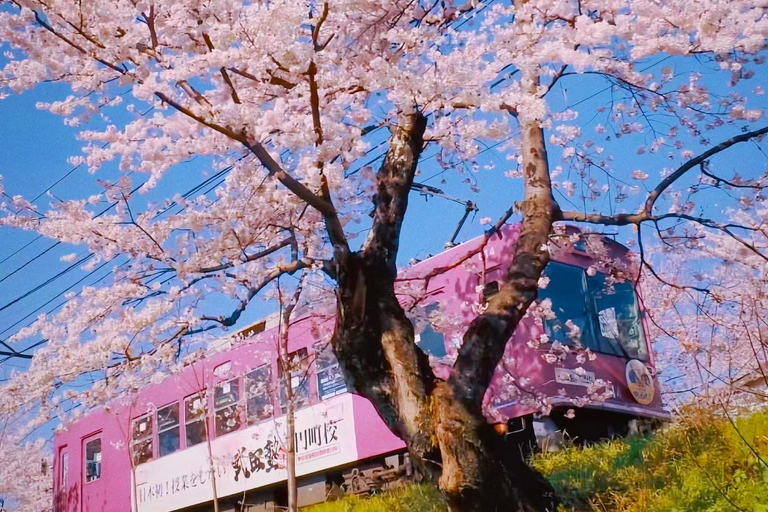 A Thousand Years in One Day: Kyoto & Nara Panoramic Tour Osaka Station
