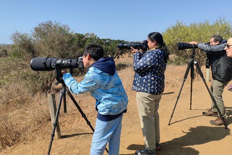 From St Lucia: Big 5 Safari in the Hluhluwe-Imfolozi Park Safari For Six Big 5 Safari