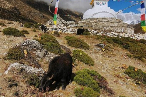 Camp de base de l&#039;Everest pour les randonneurs débutants 14 joursCamp de base de l&#039;Everest pour les randonneurs débutants