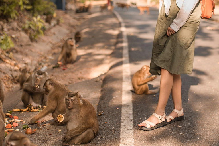 Nagano Tokyo: Snow Monkey Private Day Tour Hotel Pick & Drop Snow Monkey Private Day Tour Hotel Pick & Drop Off In Crown