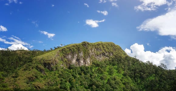 Chiang Mai: Thep Sadet Mountain & Coffee Full-Day Hike